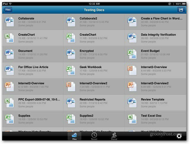 SkyDrive iPad