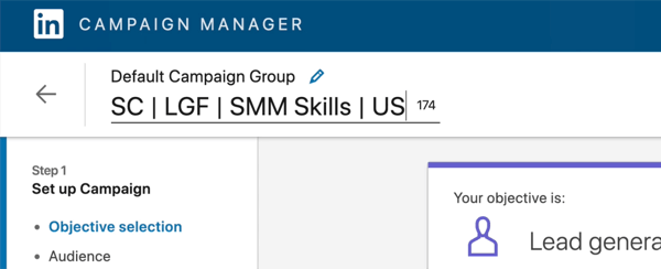 LinkedIni kampaania nime ekraanipilt on muudetud ütlema 'SC | LGF | SMM-i oskused USA '