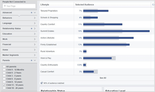 Vaadake kohandatud vaatajaskonna jaoks Facebooki vaatajaskonna statistikat.