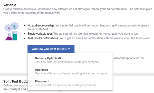 Valige muutuja, mida soovite oma Facebooki reklaamiga testida.
