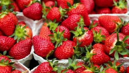 Meetod maasika mädanemise ärahoidmiseks