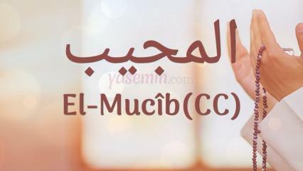 Mida tähendab al-Mujib (c.c)? Millised on nime Al-Mujib voorused? Esmaul Husna Al-Mujib...