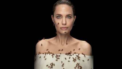 Mesilastele mõeldud mesilaste objektiivis Angelina Jolie!