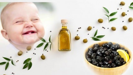 Väikse soolaga oliivide valmistamine imikutele! Mis kuul tuleks beebidele oliive anda?