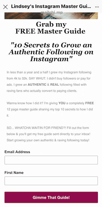 Instagrami loos reklaamitud pliimagnetite sihtlehe näide