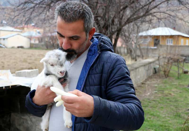 Murat Aydemir päästis kitsekuubiku elu