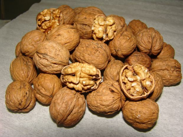 kreeka pähklite eelised luudeni