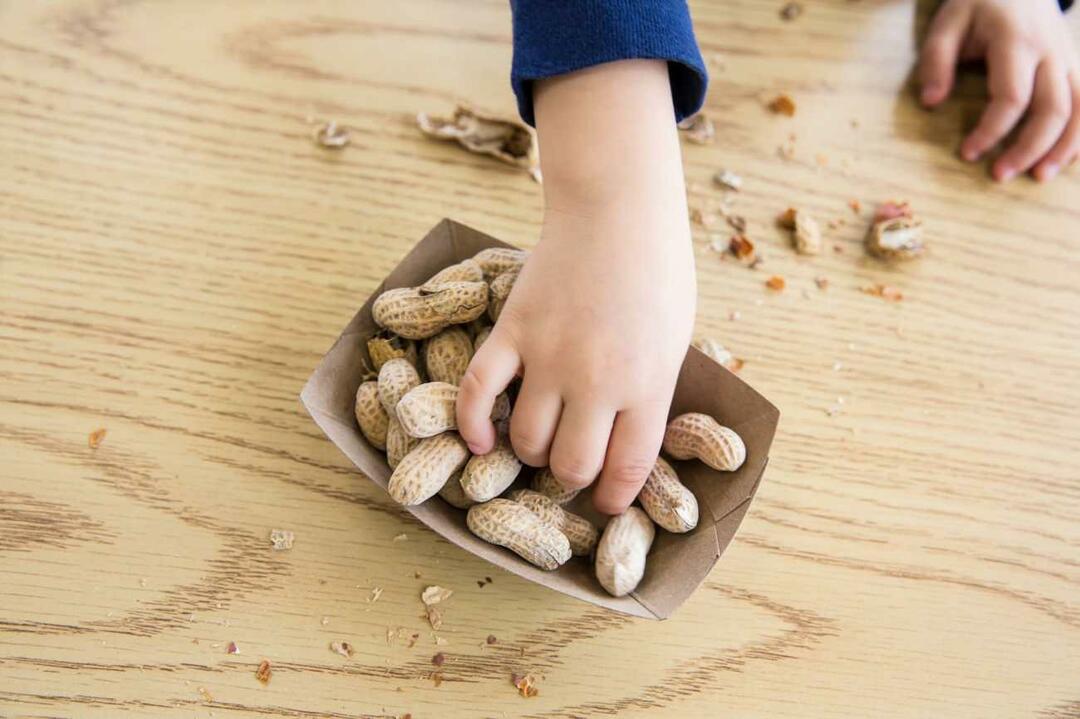 Pähklite tarbimine lastel