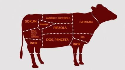 Millised on veiseliha osad? Millist liha millisest piirkonnast lõigatakse?