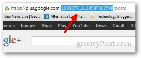Google Plusi lühike URL 1