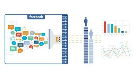 Facebooki teema andmed