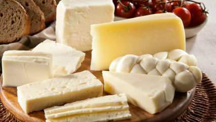 Kuidas juustu hoitakse? Kuidas hoida juustu külmkapis