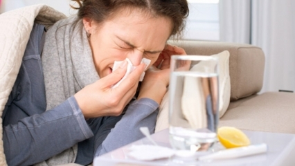 Millised toidud on külmetuse ja gripi vastu head? 5 toitu, mis takistavad grippi ...