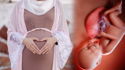 Palveid, mida tuleb korrata lapse tervise tagamiseks raseduse ajal ja dhikr esmaül hüsna