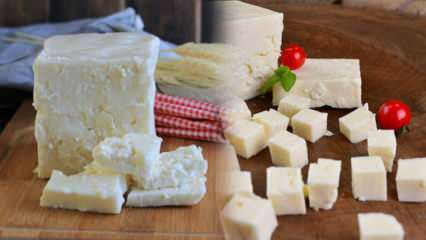 Mis on Ezine juust ja kuidas sellest aru saadakse? Ezine juustu retsept