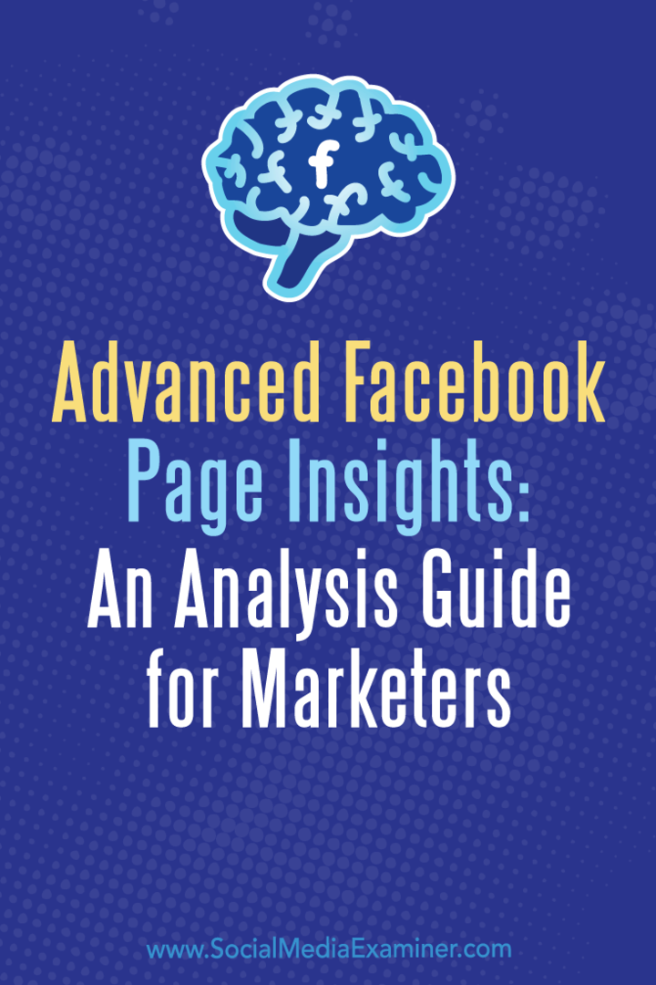 Täpsem Facebooki lehe ülevaade: Jill Holtzi analüüsijuhend turundajatele sotsiaalmeedia eksamineerijast.
