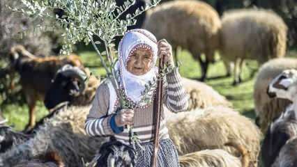 Tädi Fatma on pool sajandit olnud karjane Amanose mägede jalamil!