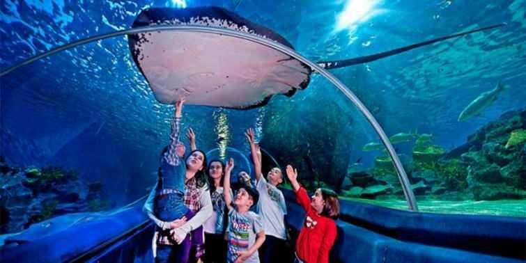  Stseenid Istanbuli mereelu akvaariumist