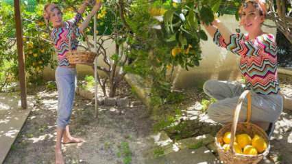 Lauljatar Tuğba Özerk korjas oma aias puult sidruni!
