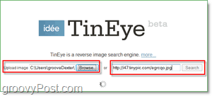 TinEye ekraanipilt - oma pildi otsimine duplikaatide ja suuremate versioonide jaoks