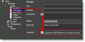 Microsoft Pro fototööriistade fotograaf MetaData Auto Autoriõigused:: groovyPost.com