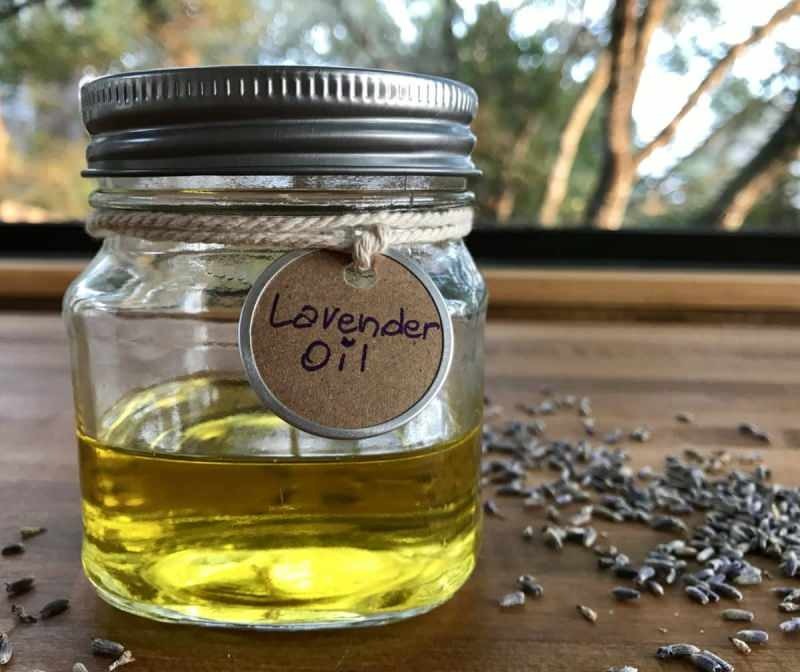 Kuidas saadakse lavendliõli? Kuidas kodus lavendliõli ekstraheerida