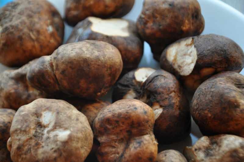 trühvli seenepilt kartuliga segatud