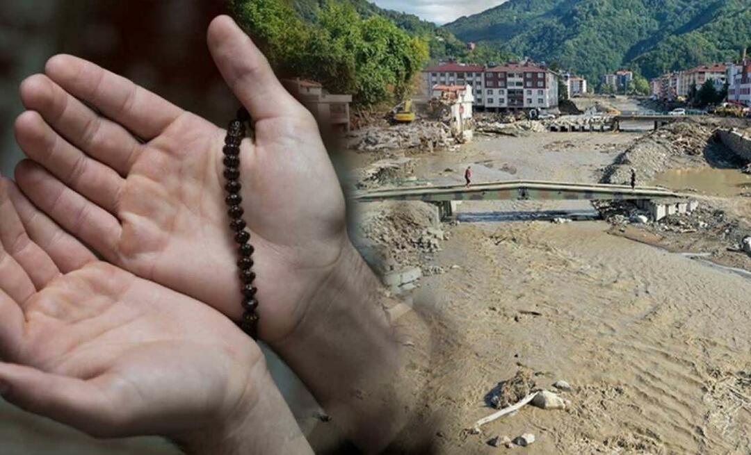 Palved tuleb lugeda, et üleujutus neid kõige vähem mõjutaks!