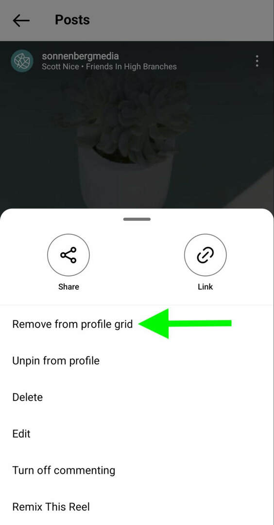 kuidas-instagramis-unpin-reels-profile-remove-grid-sonnenbergmedia-step-4