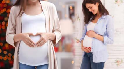 Mis on ovulatsiooniperiood? Millal olla vahekorras, et rasestuda?