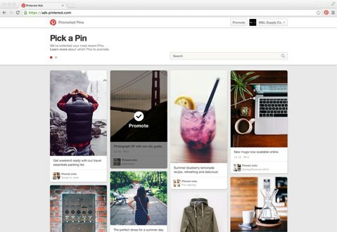 Pinterest võimaldab teil valida reklaamitud tihvtide kampaaniate pildi ja märksõnad. 