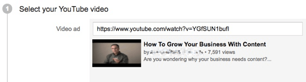Lisage oma YouTube'i reklaamikampaania jaoks oma video link.