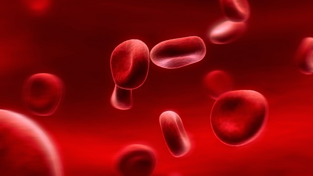 Mis on veregrupi dieet? Kuidas seda tehakse?