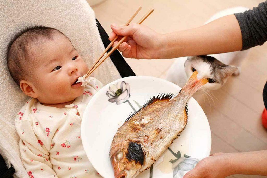 lapsele kalade toitmine