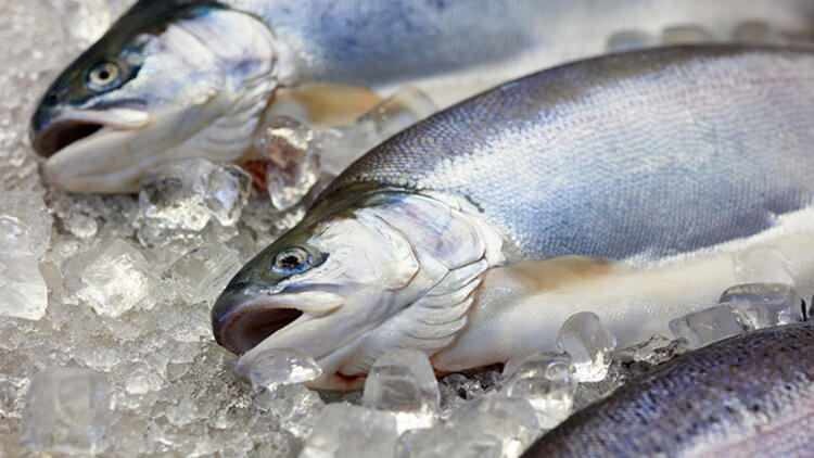 Kas sügavkülma visatud kala maitse muutub?