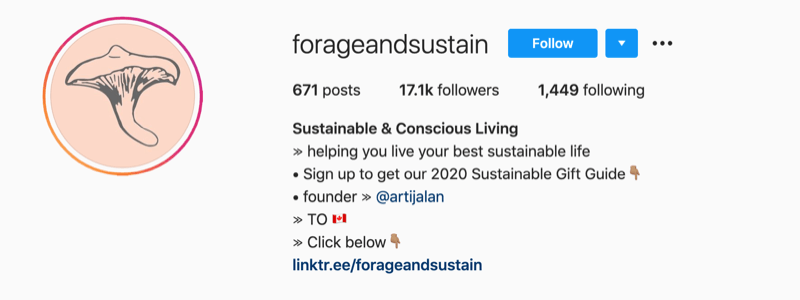 instagramprofiili näide aadressilt @forageandsustain koos märkusega oma profiiliteabes, et rohkem klõpsata biolingil