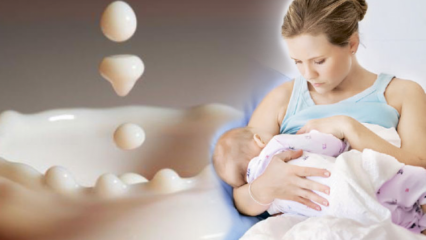 Kuidas rinnapiima reprodutseeritakse? Kuivatamise retseptid, mis suurendavad rinnapiima