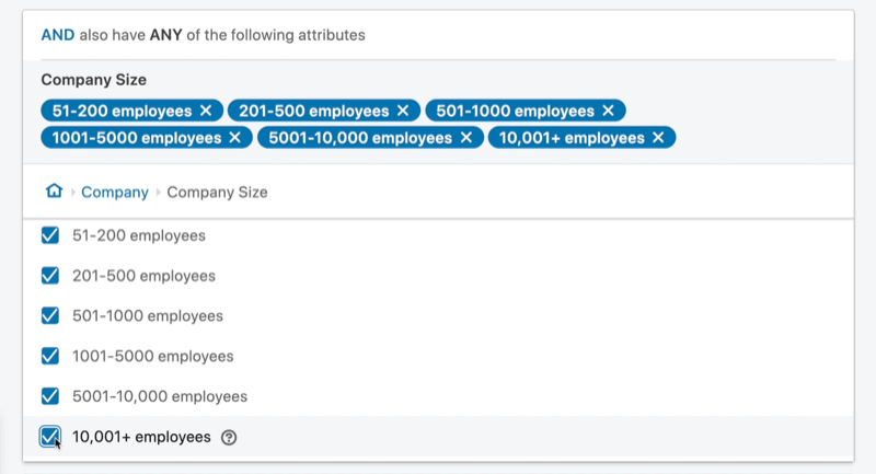 näidisreklaamikampaania sihtrühm ja atribuutide komplekt ettevõtte suurusega 51–10 001+ töötajat