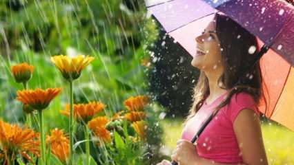 Kas aprilli vihm on tervendav? Millised on palved, mida vihmavette lugeda? Aprilli vihma eelised