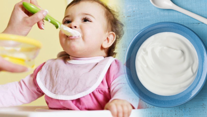 Kuidas jogurtit imikutele teha? Kodused puuviljajogurti retseptid imikutele