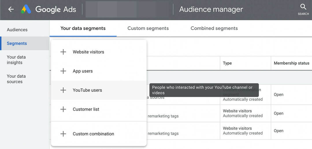 mis-on-youtube-audience-targeting-google-ads-data-segments-example-2