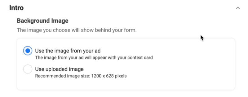 facebooki müügivihjereklaamid loovad uue müügivihje vormi valiku, et kasutada taustpilti, kasutades valitud reklaamis olevat pilti