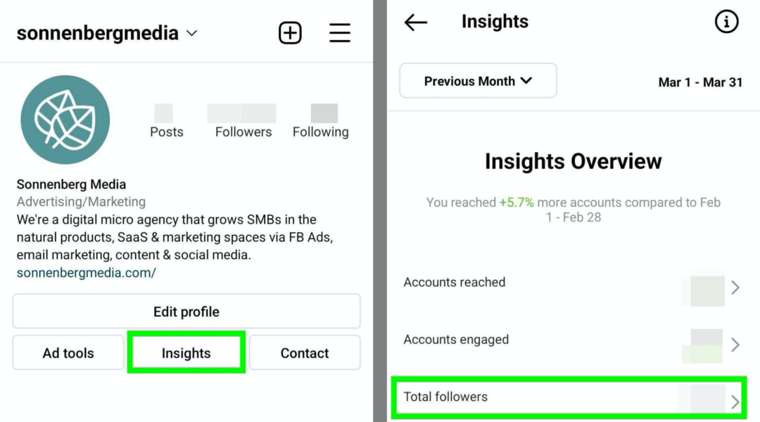 Pilt valikust Instagram Insights Total Followers