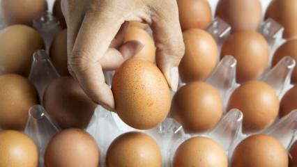 Praktiline nõuanne munade värskena hoidmiseks